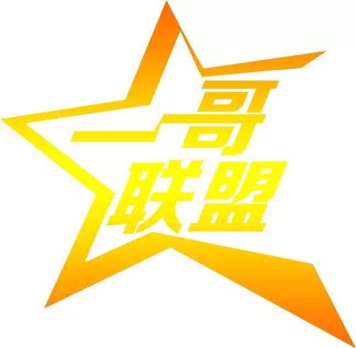 廣東一哥聯盟投資管理 專業投資咨詢服務解析