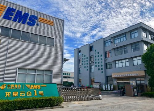 浙江龍泉 竹木產品跨界跨境 產業發展提質升級