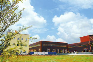 四川綠色食品原料基地數量全國第二