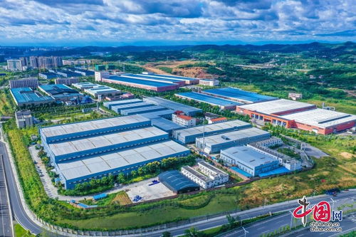 綿陽游仙 軟硬兼施 讓營商環(huán)境成為經(jīng)濟社會發(fā)展 硬支撐